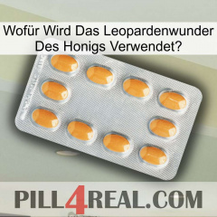Wofür Wird Das Leopardenwunder Des Honigs Verwendet cialis3